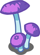 Magic Mushroom