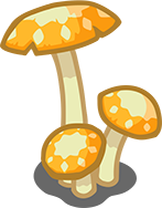 Golden Toadstools