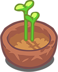 Sprout In A Clay Pot