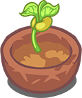 Beansprout In A Clay Pot